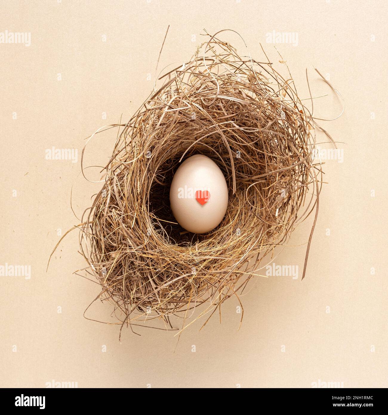 Single Chicken Egg With Small Red Heart In Natural Birds Nest On Pastel