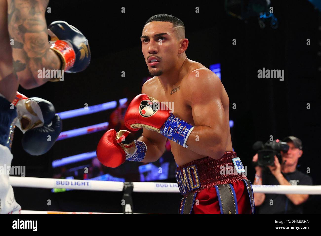 New York Ny November Teofimo Lopez During His Fight With George