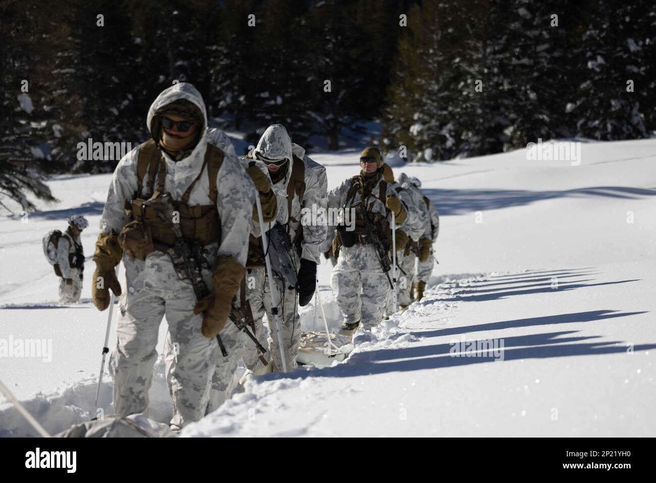 U S Marines With D Battalion Th Marine Regiment D Marine Division