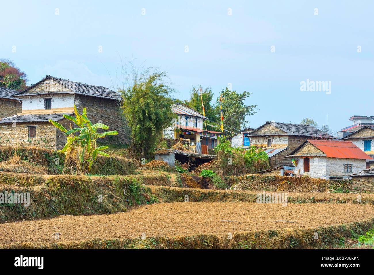 Mountain Village And Terraces Of Dhampus Nepal Stock Photo Alamy