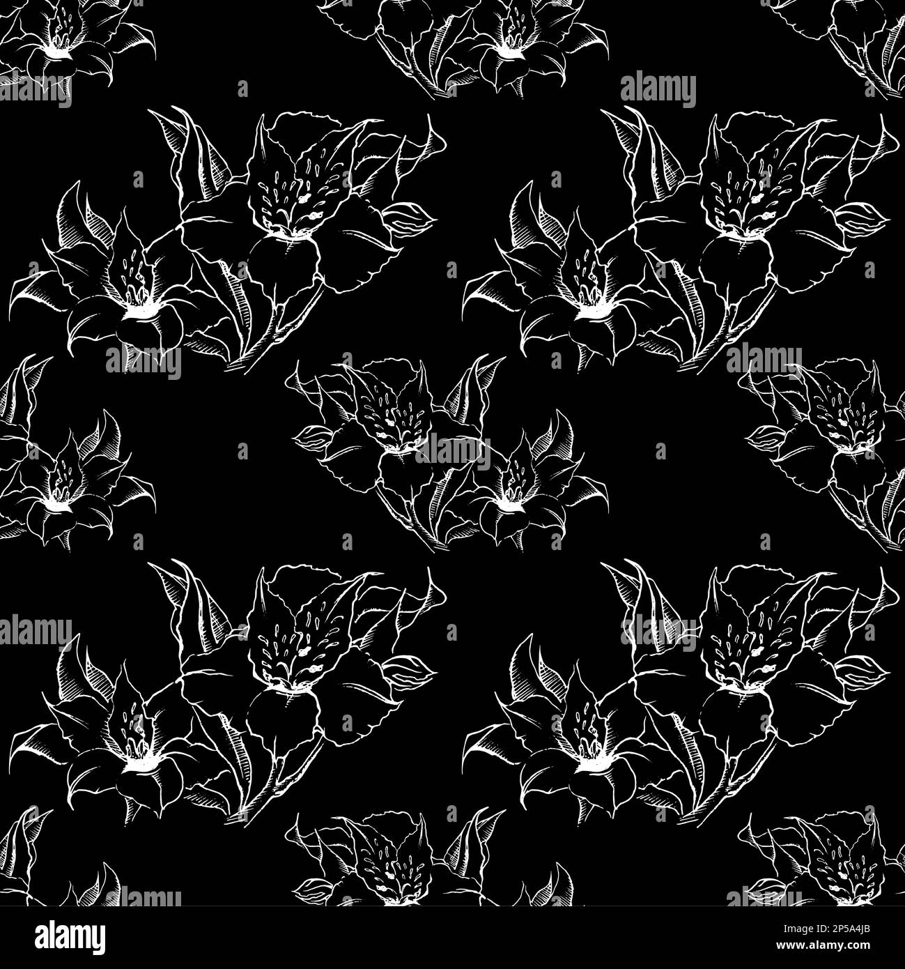 Monochrome Alstroemeria Floral Seamless Pattern Texture Background