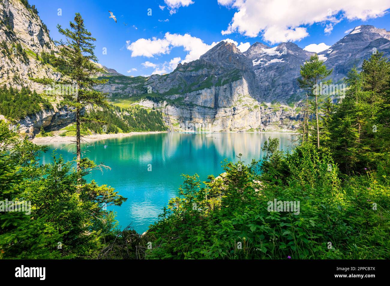 Famous Oeschinensee With Bluemlisalp Mountain On A Sunny Summer Day