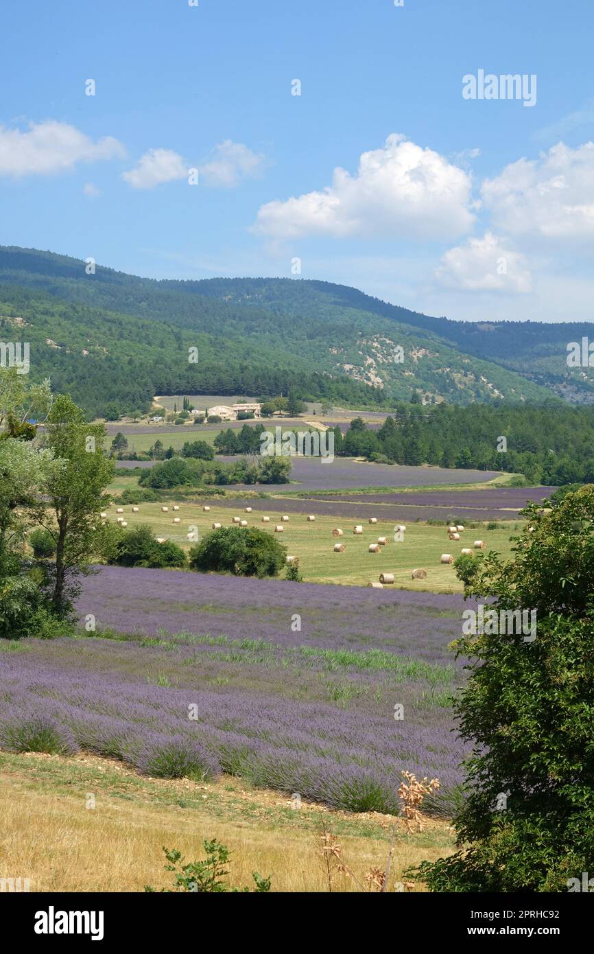 Plateau De Sault Provence Stock Photo Alamy