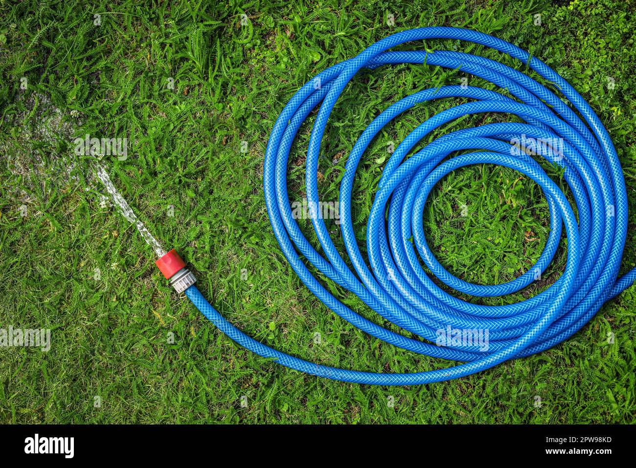 Water Flowing From Hose On Green Grass Outdoors Top View Stock Photo