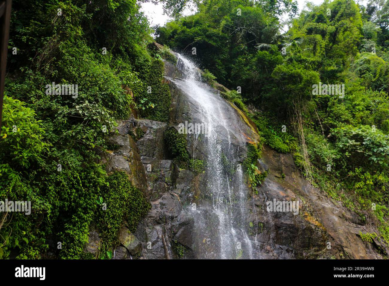 Tropical Rainforest Landscape Hi Res Stock Photography And Images Alamy