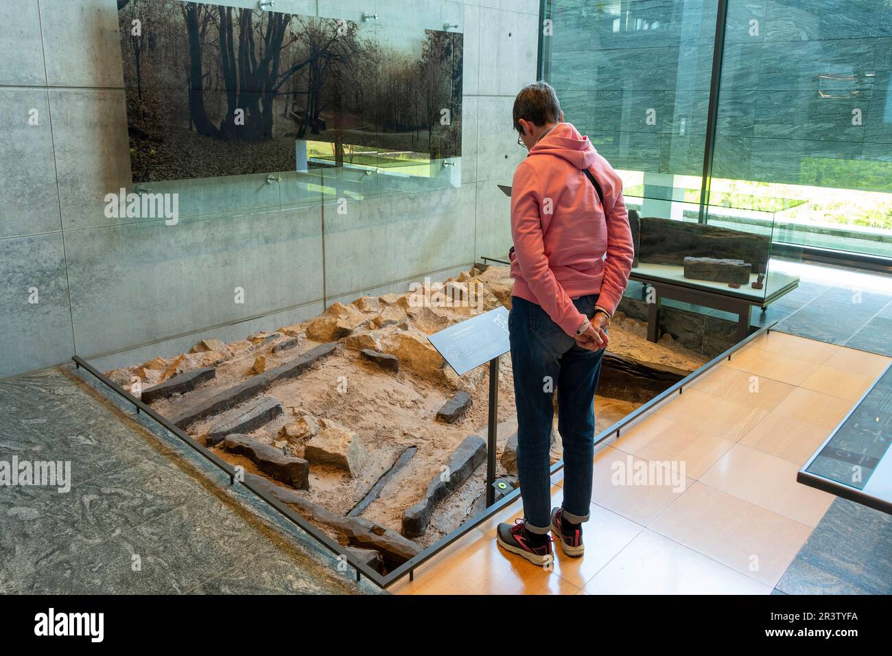 Saint Leger Sous Beuvray The Archaeology Museum Mont Beuvray Saone