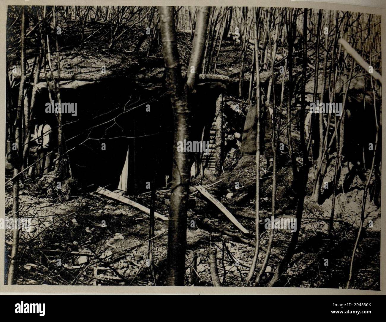 Unterstand Im Wald Wahrscheinlich Taslanwald Stock Photo Alamy