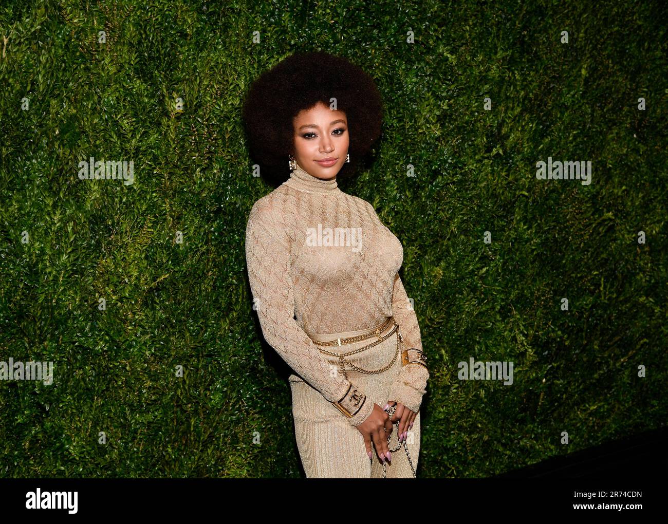 Amandla Stenberg Attends The Th Annual Chanel Tribeca Artists Dinner