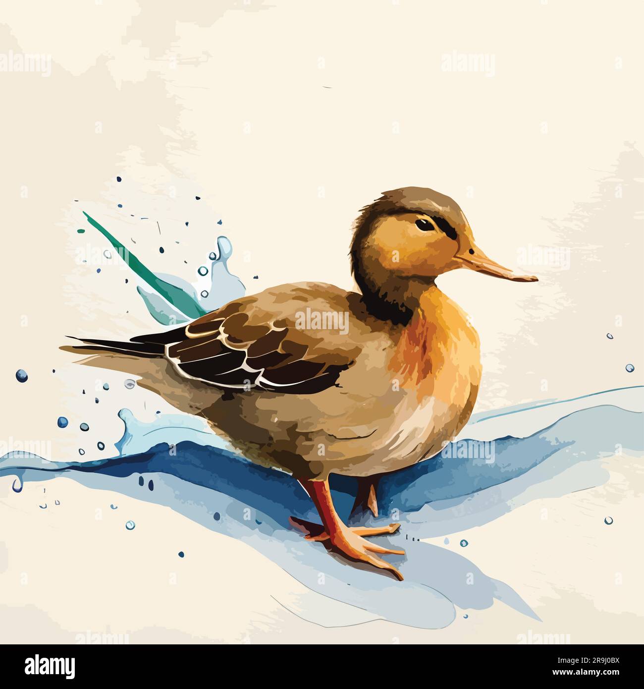 Duck Watercolor Art And Illustration Stock Vector Image Art Alamy