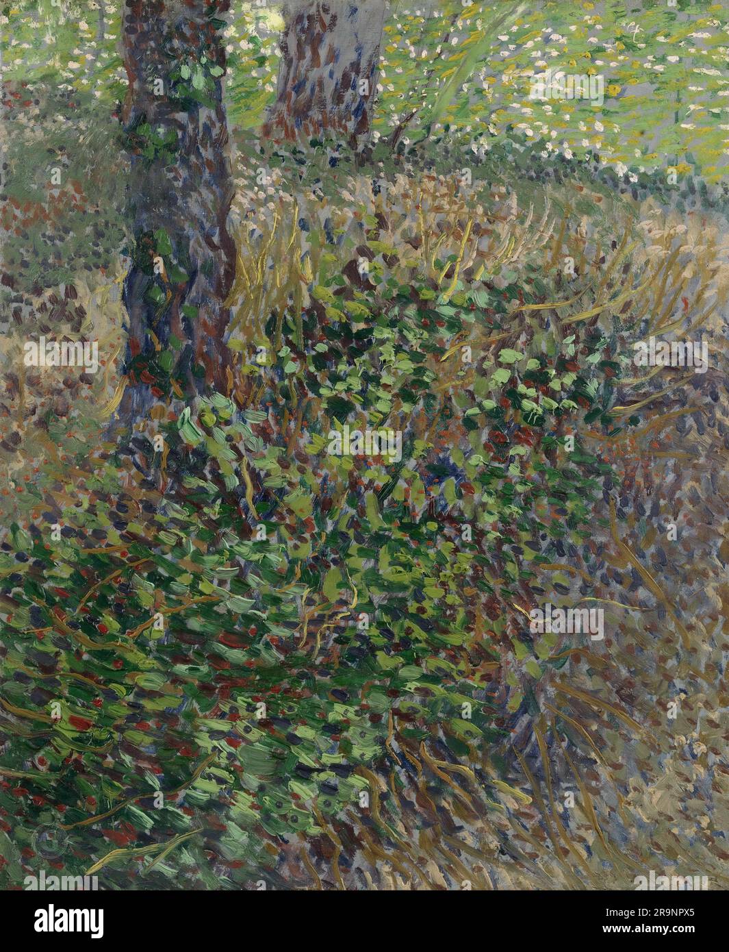 Vincent Van Gogh Undergrowth 1887 Stock Photo Alamy