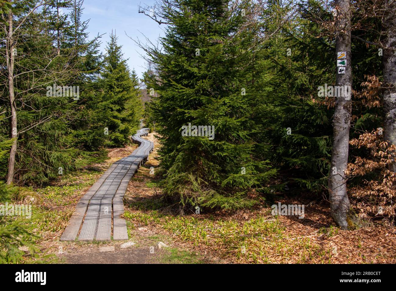 In Parts Of The Goldsteig Hiking Trail The Path Runs Over Boardwalks