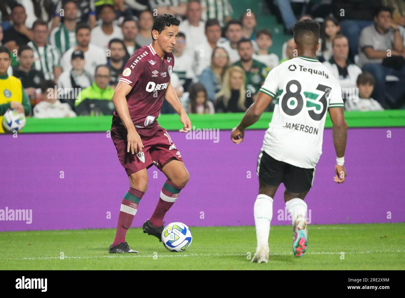 Ganso Fluminense Hi Res Stock Photography And Images Alamy