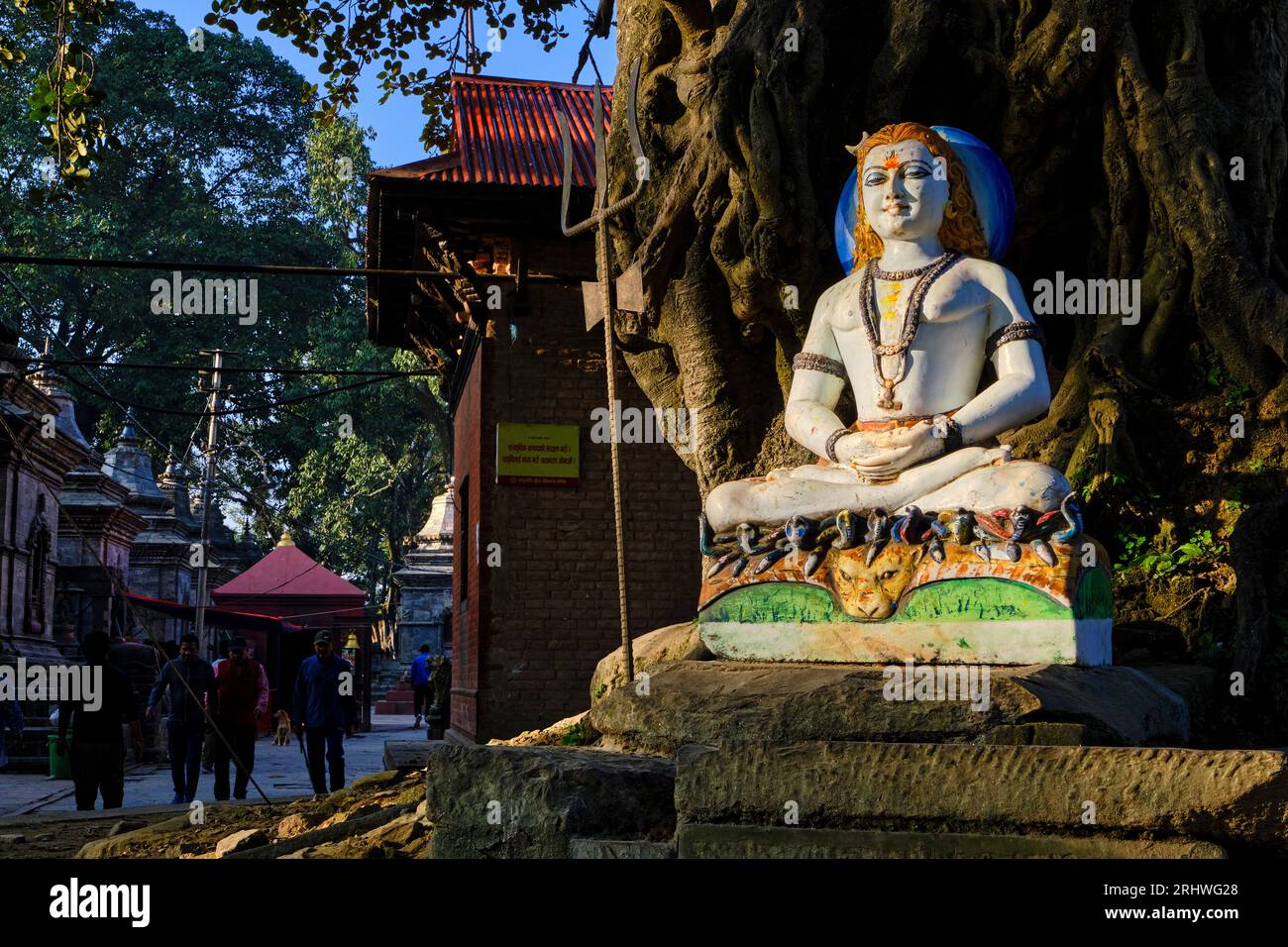 Nepal Kathmandu Valley Hindu Temple Of Pashupatinath Dedicated To