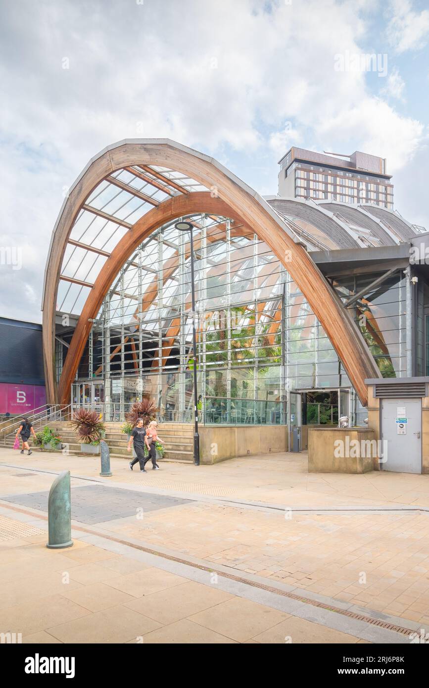 Sheffield England Sheffield Winter Garden By Pringle Richard