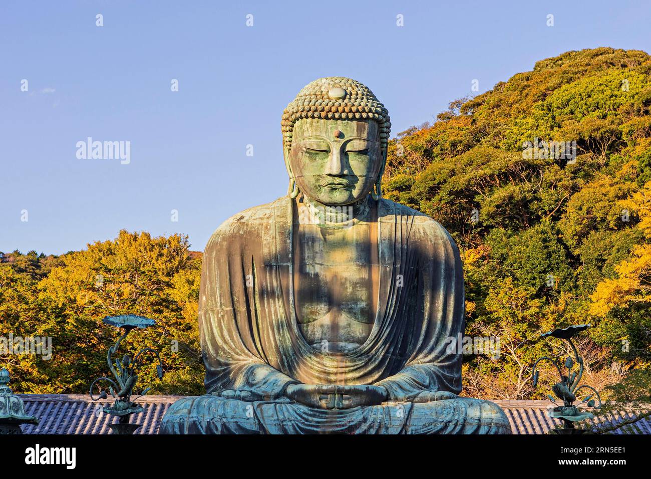 The Bronze Great Buddha Daibutsu On The Grounds Of Kotokuin Temple