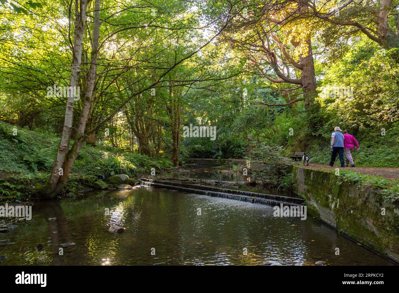 Kinness Burn Next To Lade Braes Footpath St Andrews Fife Scotland