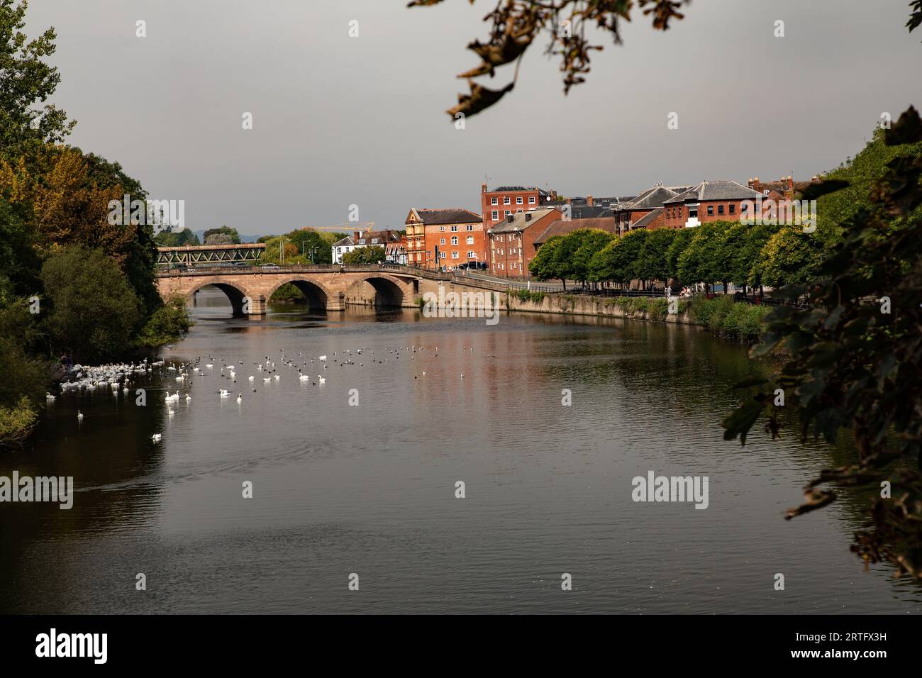 Royal Worcester Museum Hi Res Stock Photography And Images Alamy