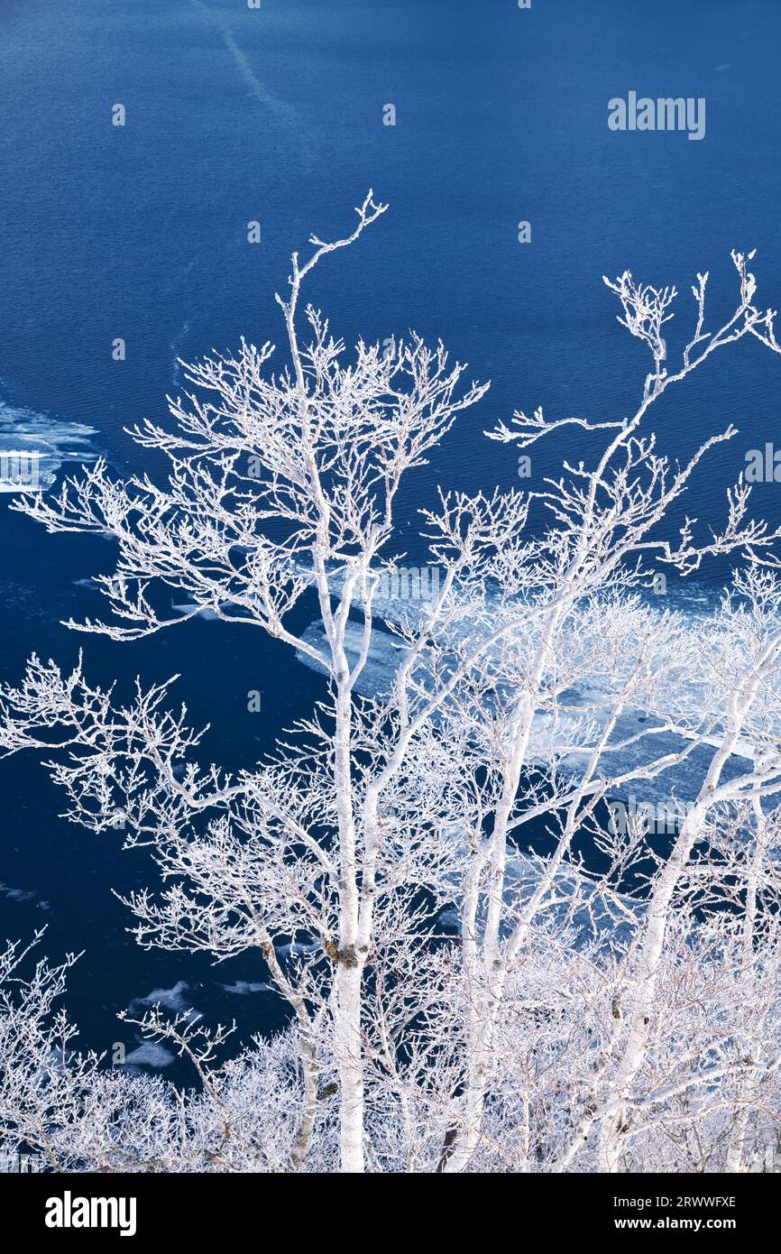 Lake Mashu And Ice Trees Stock Photo Alamy