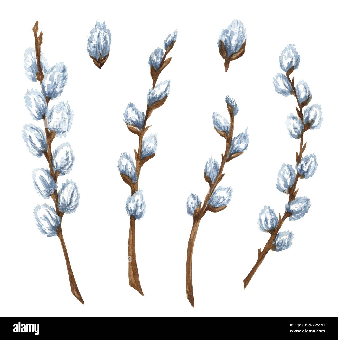 Pussy Willow Branches Art
