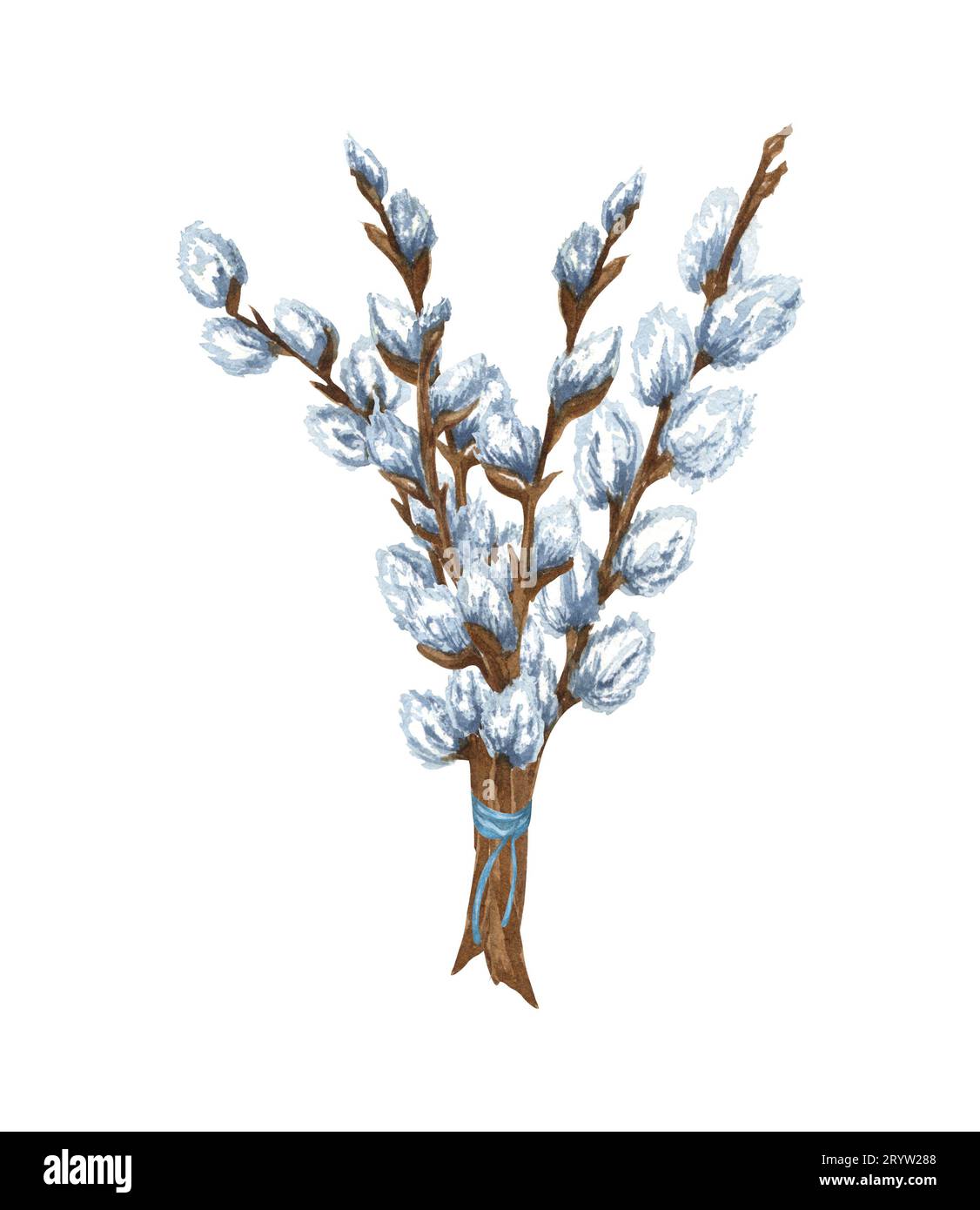 Watercolor Bunch Of Pussy Willow Twigs Spring Bouquet Easter Decorations Hand Drawn