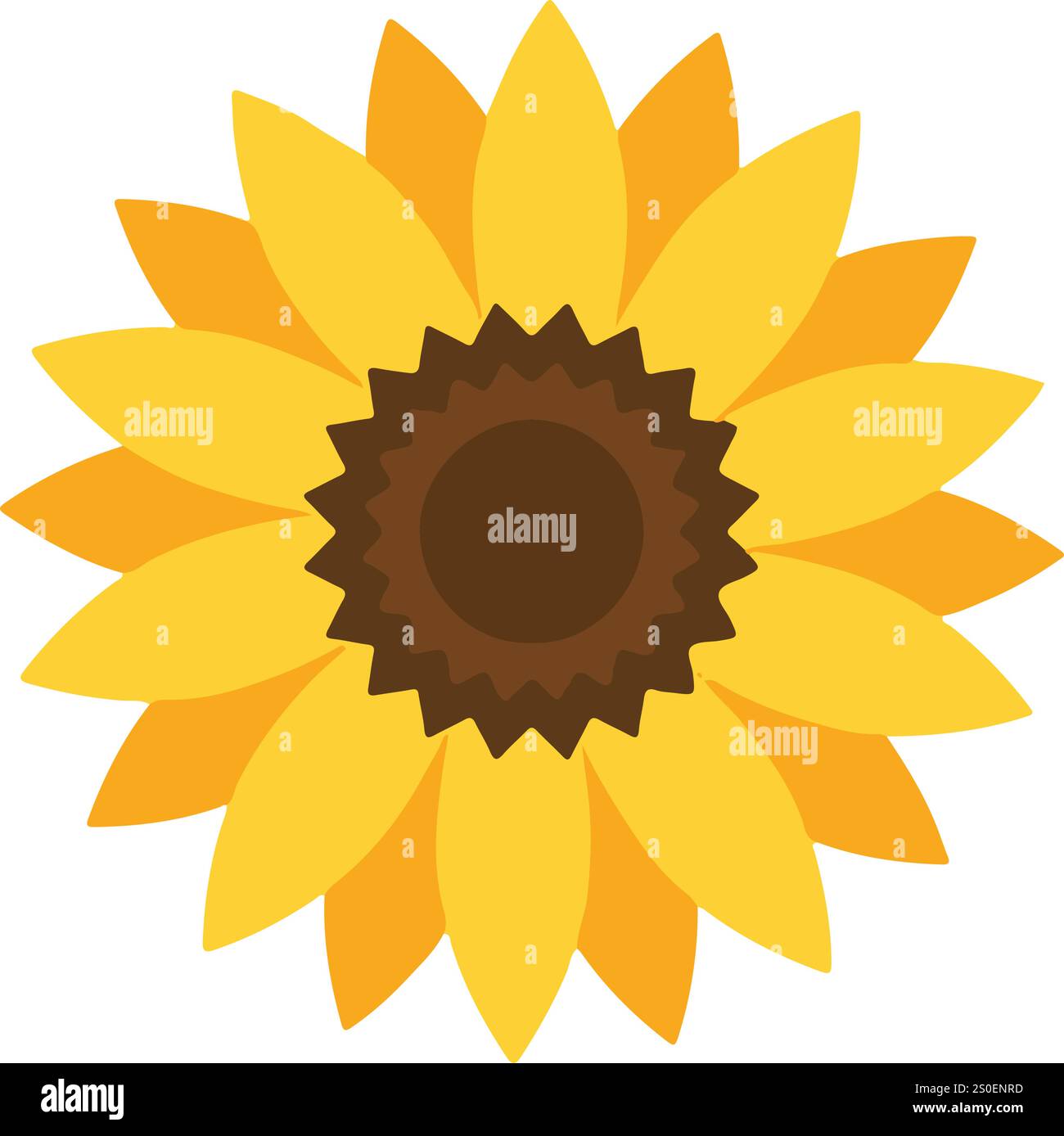 Vector Flower And Leaf Designs Stock Vector Image Art Alamy