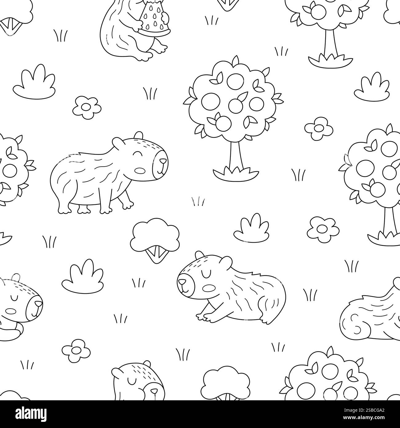 Vector Black And White Capybara Seamless Pattern Cute Line Repeat