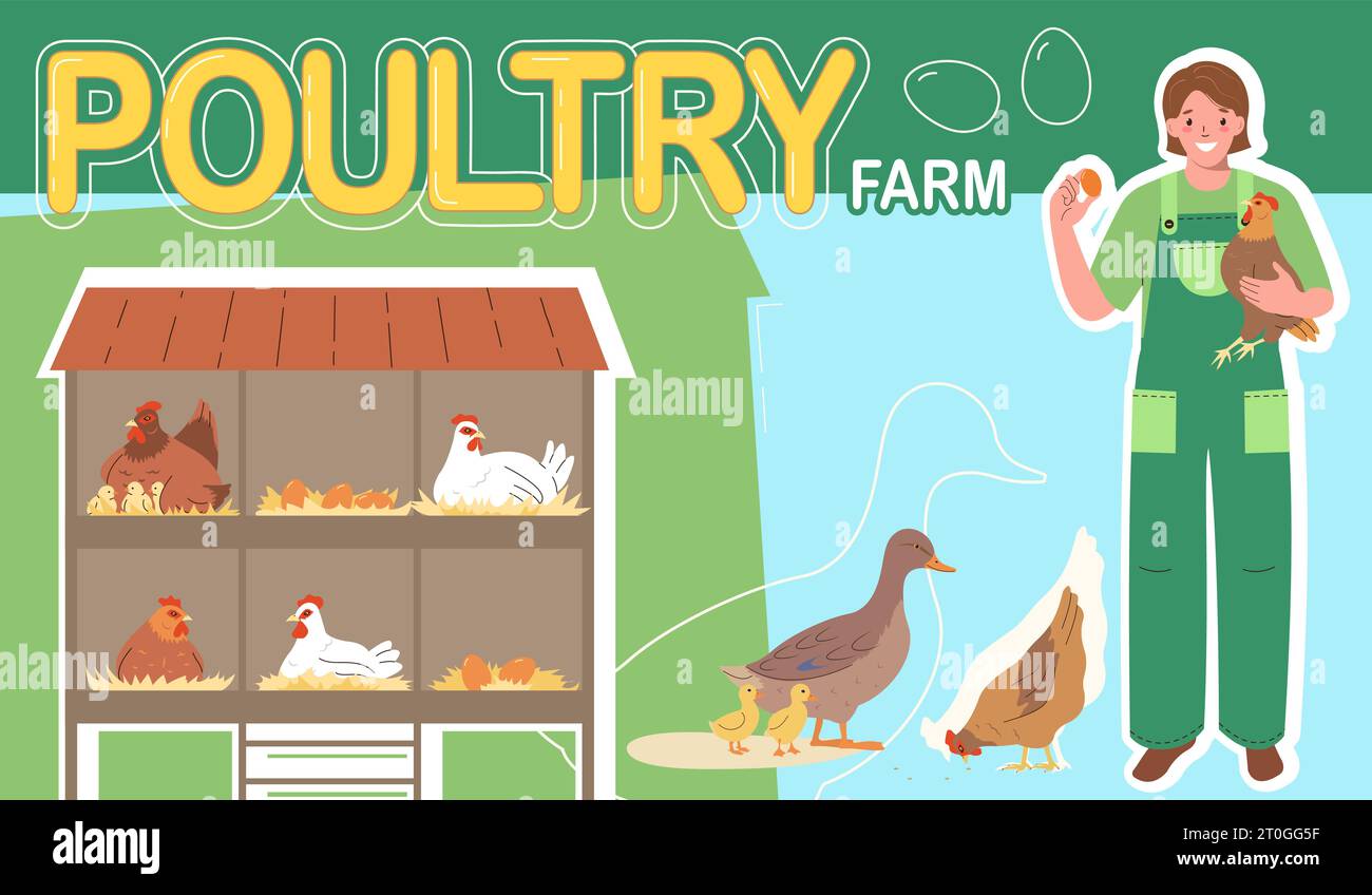 Poultry Farm Flat Color Collage With Domestic Birds Nests And Female