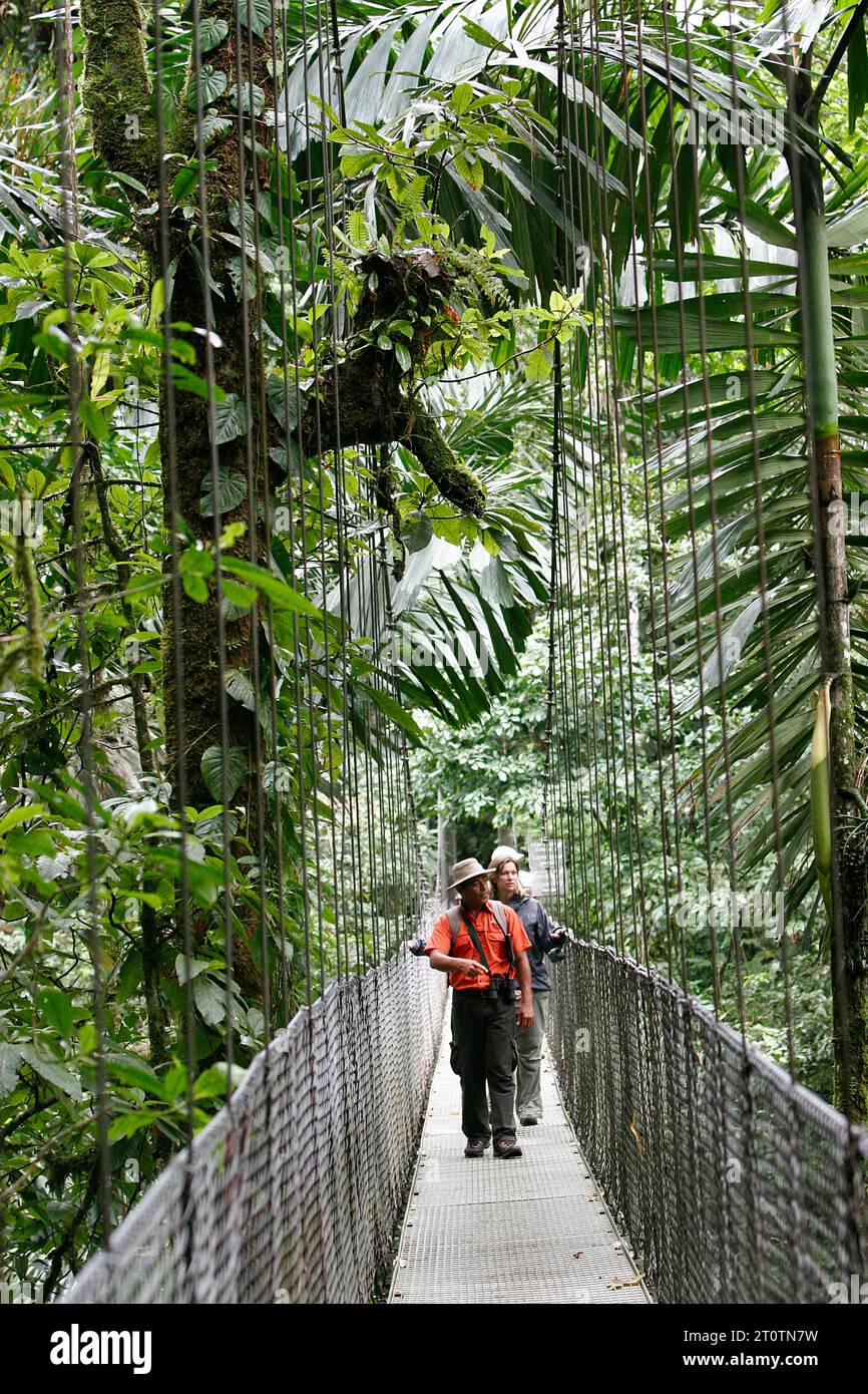 Hikers At The Arenal Rainforest Reserve Walking On A Hanging Bridge La