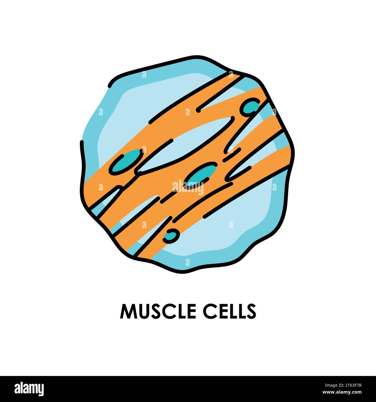 Muscle Cells Color Line Icon Microorganisms Microbes Bacteria Vector