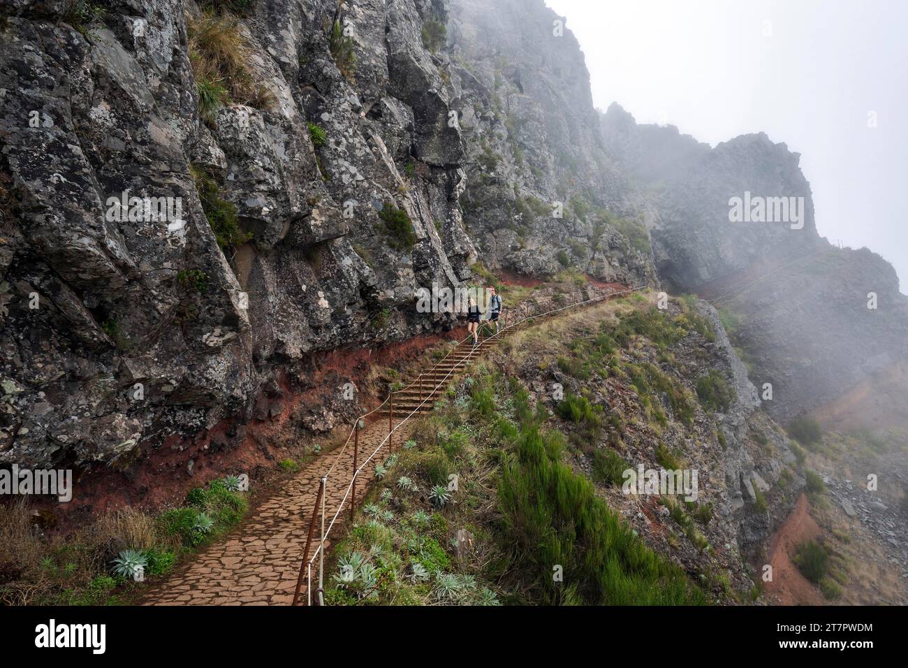 Hikers On The Pr Vereda Do Areeiro Hiking Trail In The Fog From Pico