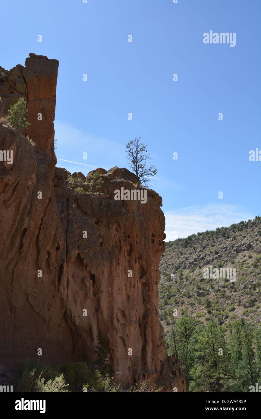 Pine Tree Growing Out Of The Side A Cliff Stock Photo Alamy