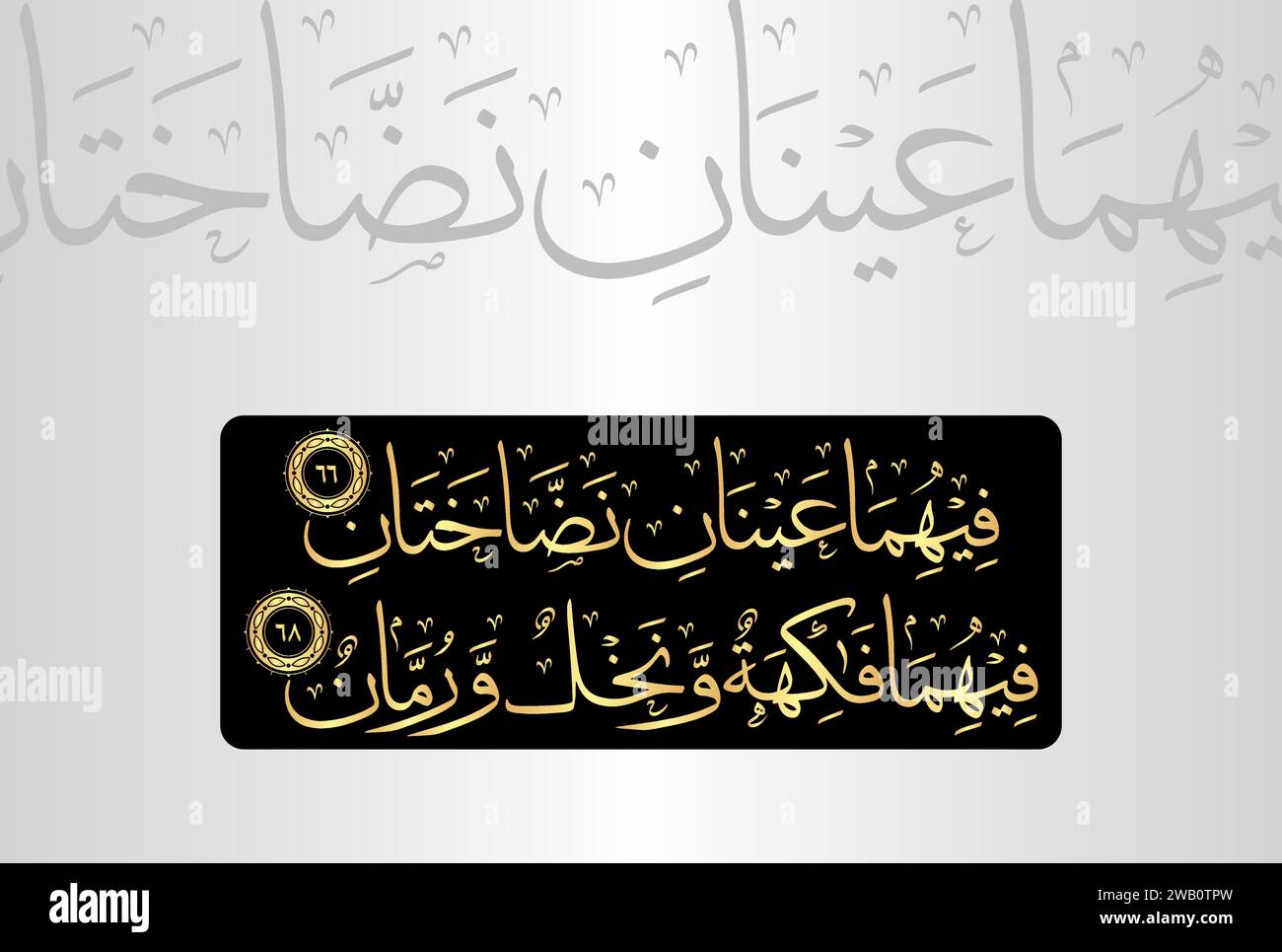 Arabic Calligraphy Verses No 66 And 68 From Chapter Ar Rahman 55 Of