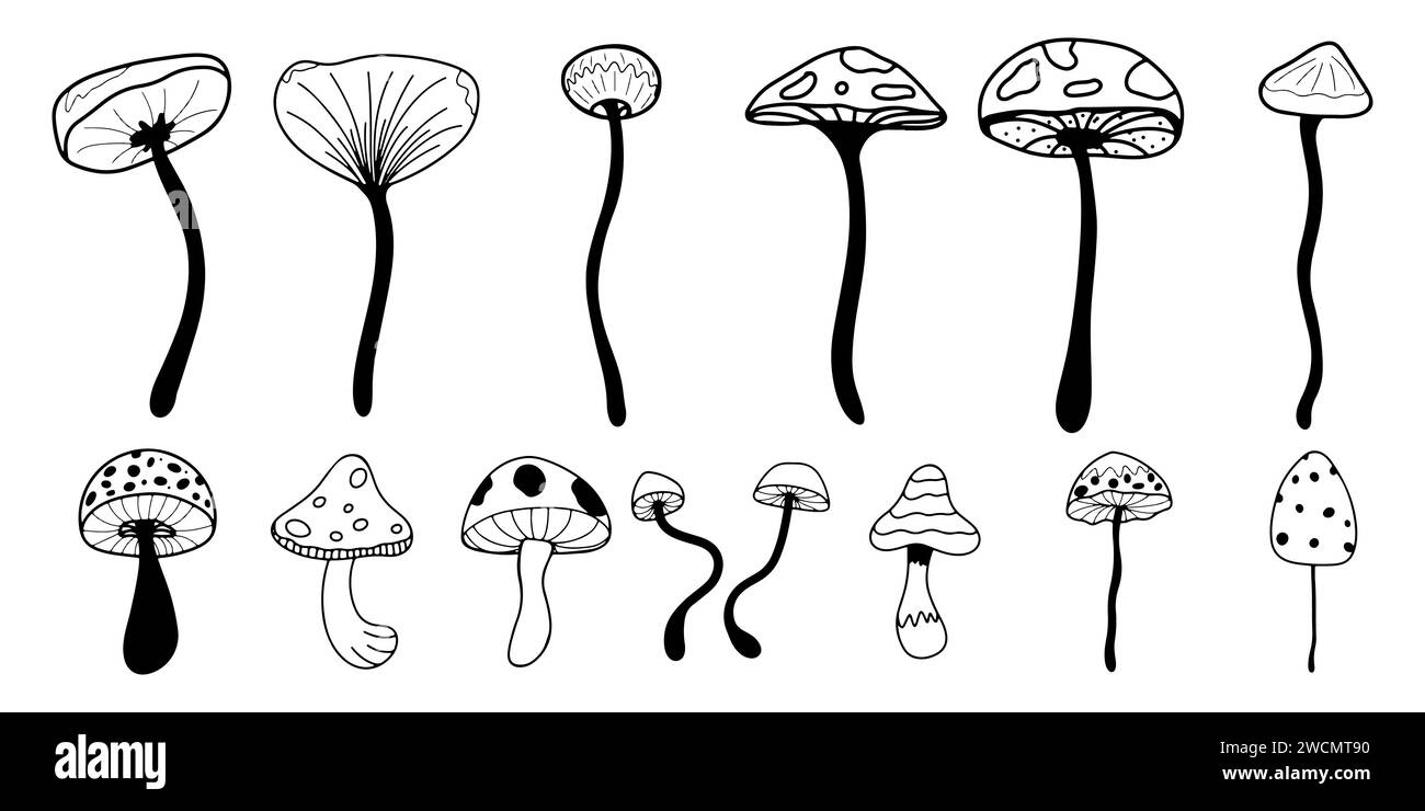 Set Of Poisonous Mushrooms In The Style Of Doodle And A Cartoon Stock