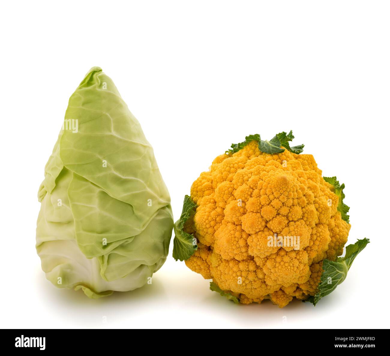 Pointed Cabbage And Romanesco Broccoli Isolated On White Background