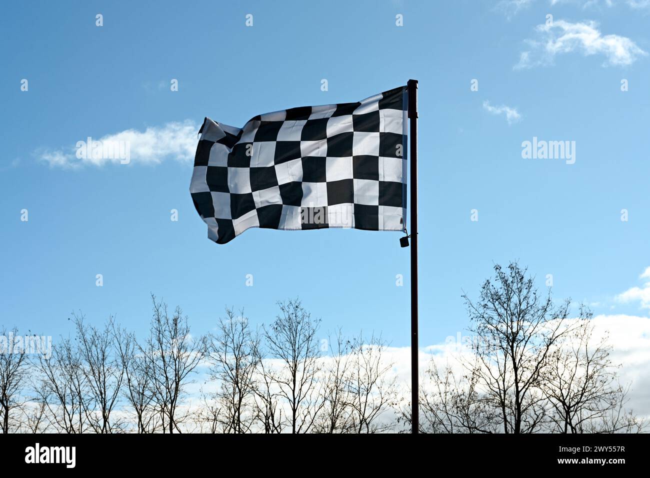 Chequered Flag Floating Above The Treetops Against A Blue Sky