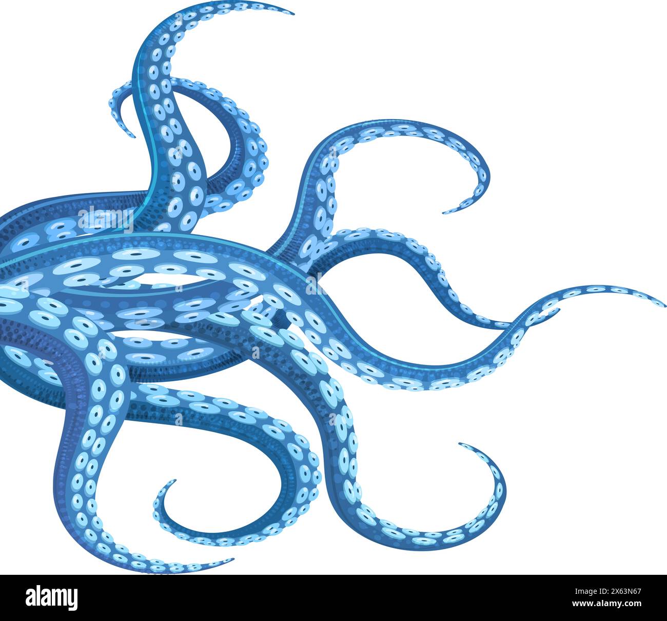 Blue Cephalopod Tentacles Stock Vector Image Art Alamy