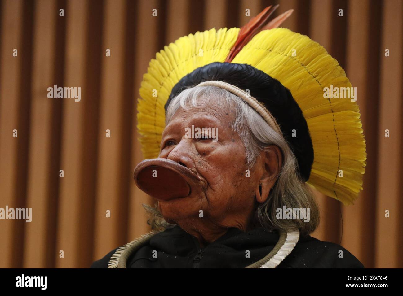 Cacique Raoni Metuktire Chief Indigenous Leader Of The Kayapo Ethnic