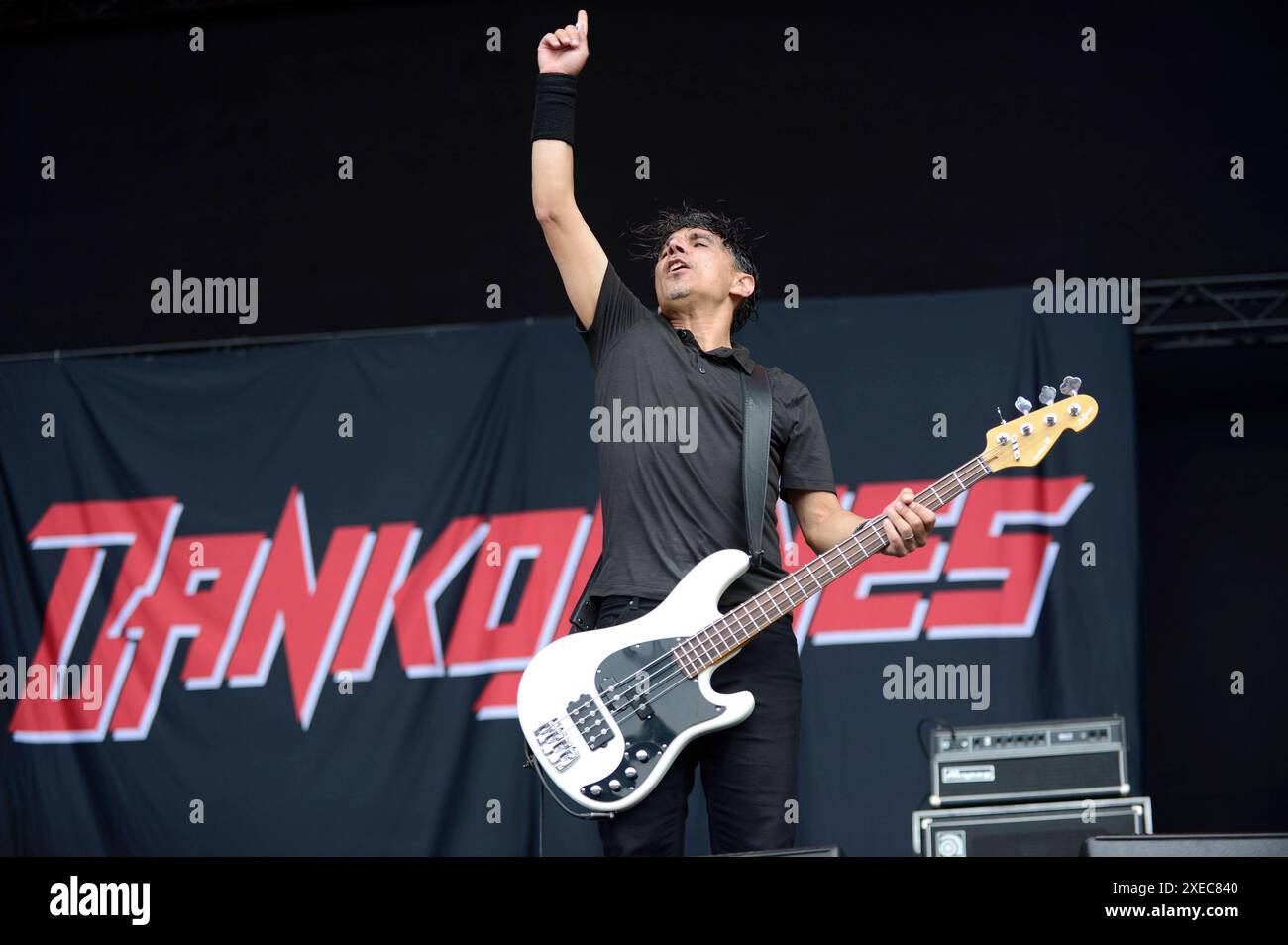 Danko Jones Live Auf Dem Hurricane Festival Am Eichenring