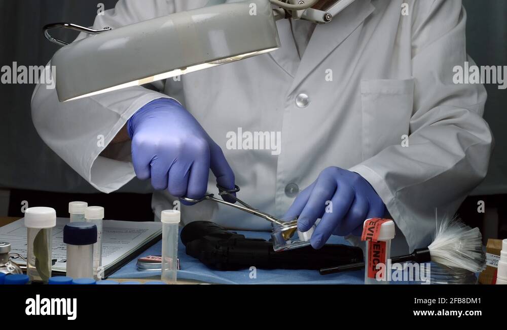 Scientific Police Examining Bullet Cap In Ballistic Laboratory Stock