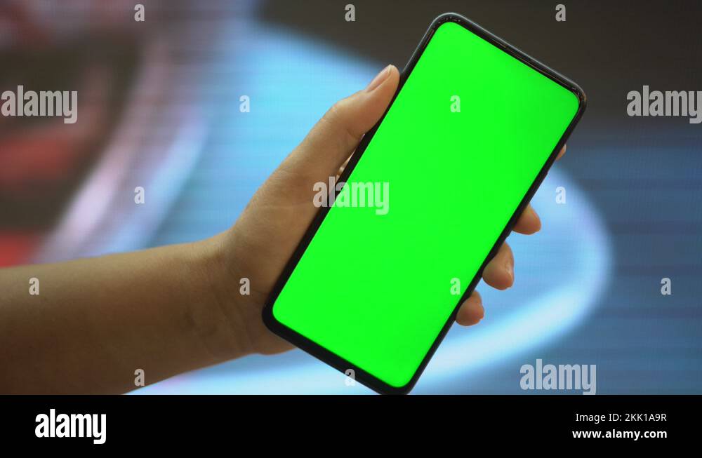 Shopping Center Department Store Mall Back View Of Brunette Holding Chroma Stock Video