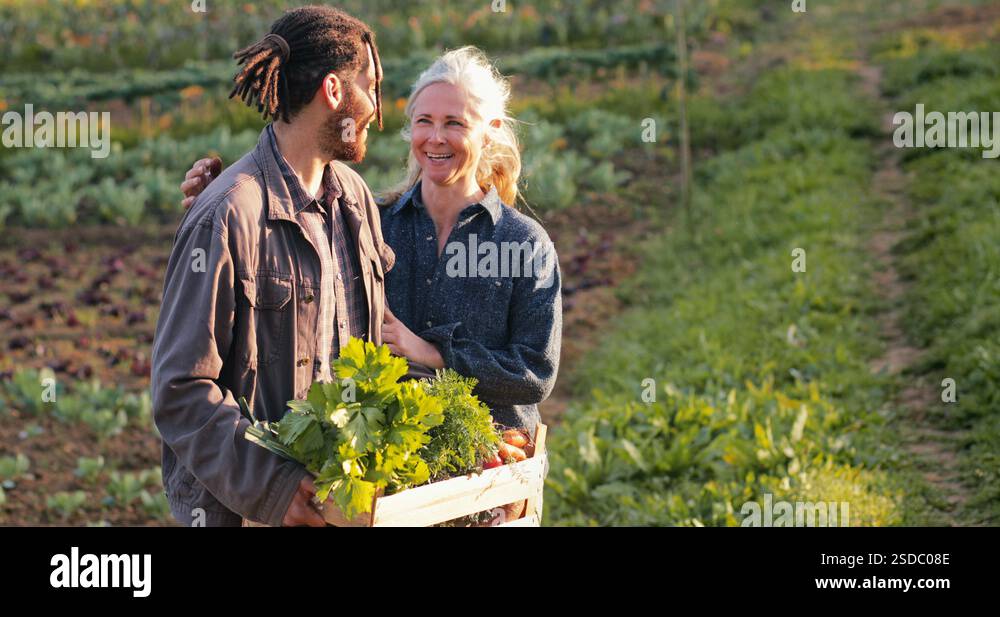 Senior Woman Embracing Black Man Holding Box Of Vegetables Stock Video