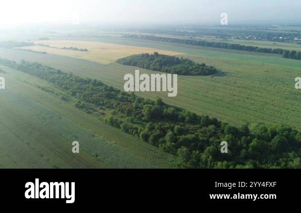 Aerial View Of Green Fields And Forest Patches On Foggy Morning Stock