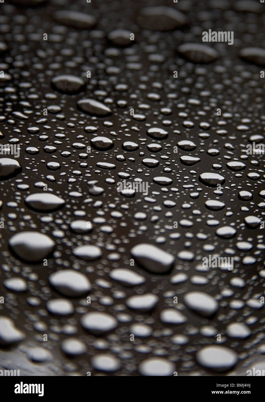 Dew drops - Image BMJ4HJ © Tetra Images / Alamy