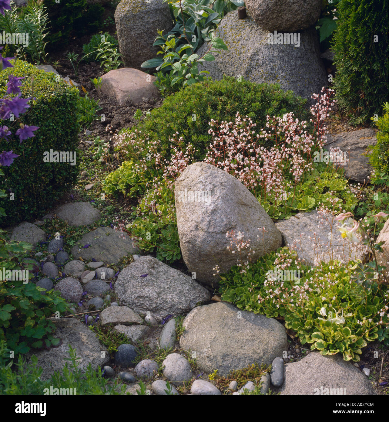 large boulders and pebbles in country rockery garden stock large boulders and pebbles in country rockery garden stock