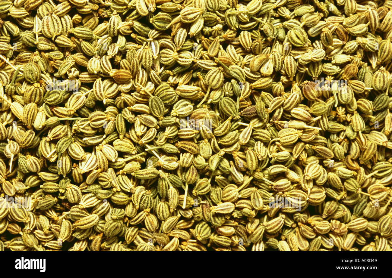 Genetic Technology and Genetic Technology and Food Safety