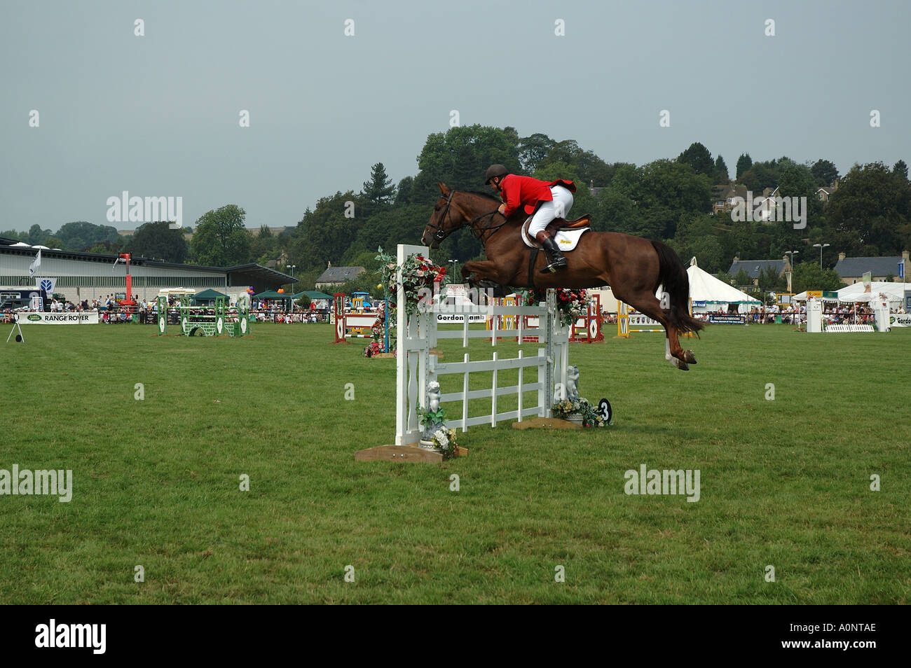 Show jumping event Stock Photo, Royalty Free Image 3277997 Alamy