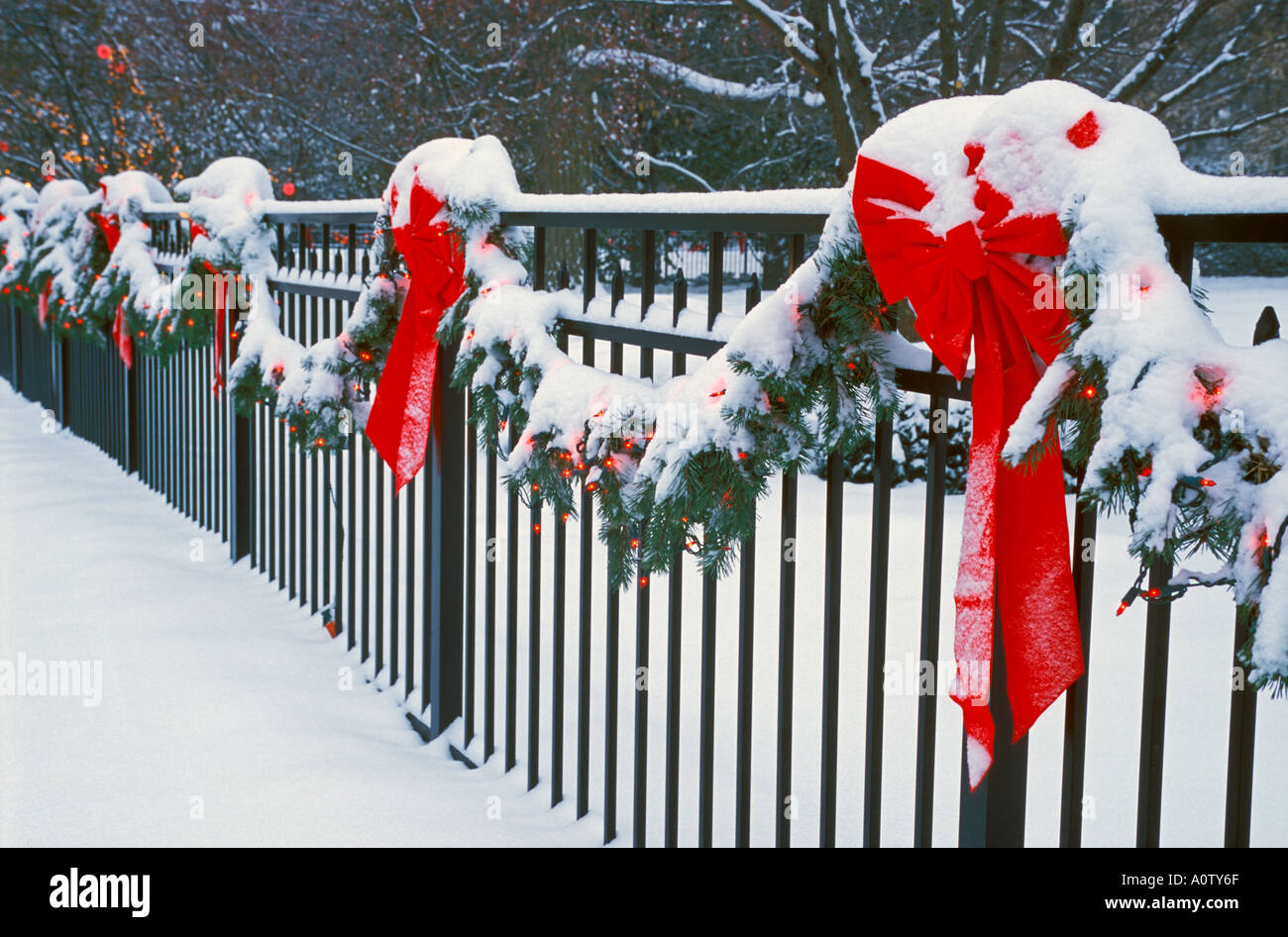 red bows and christmas lights cover in snow along a fence light up christmas socks