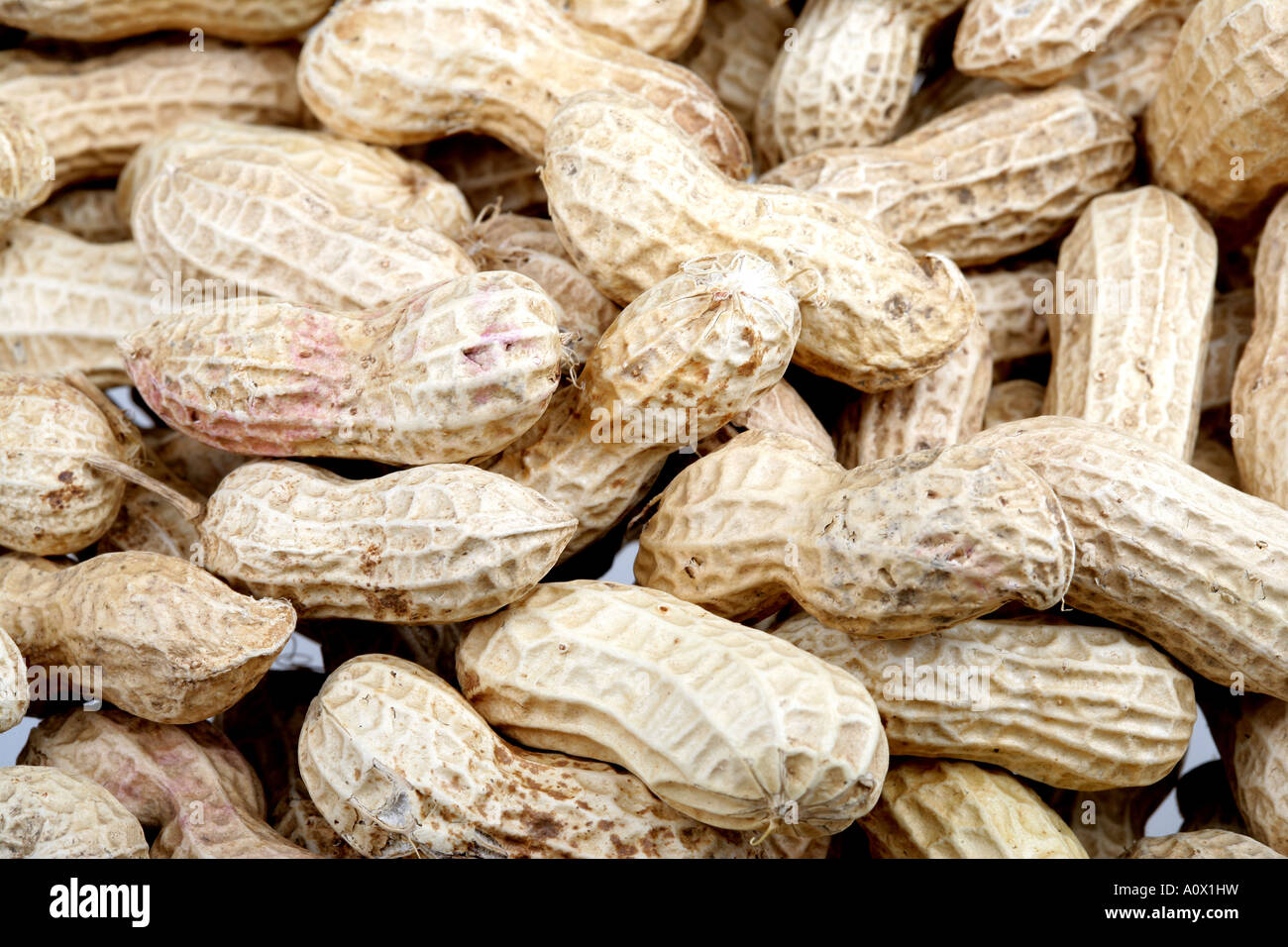 Monkey Nuts Stock Photo, Royalty Free Image 10079652 Alamy