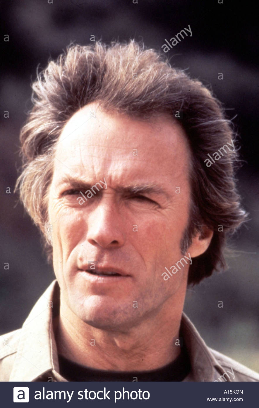 Any which way you can Year 1980 Director Buddy Van Horn Clint Stock Photo, Royalty Free Image