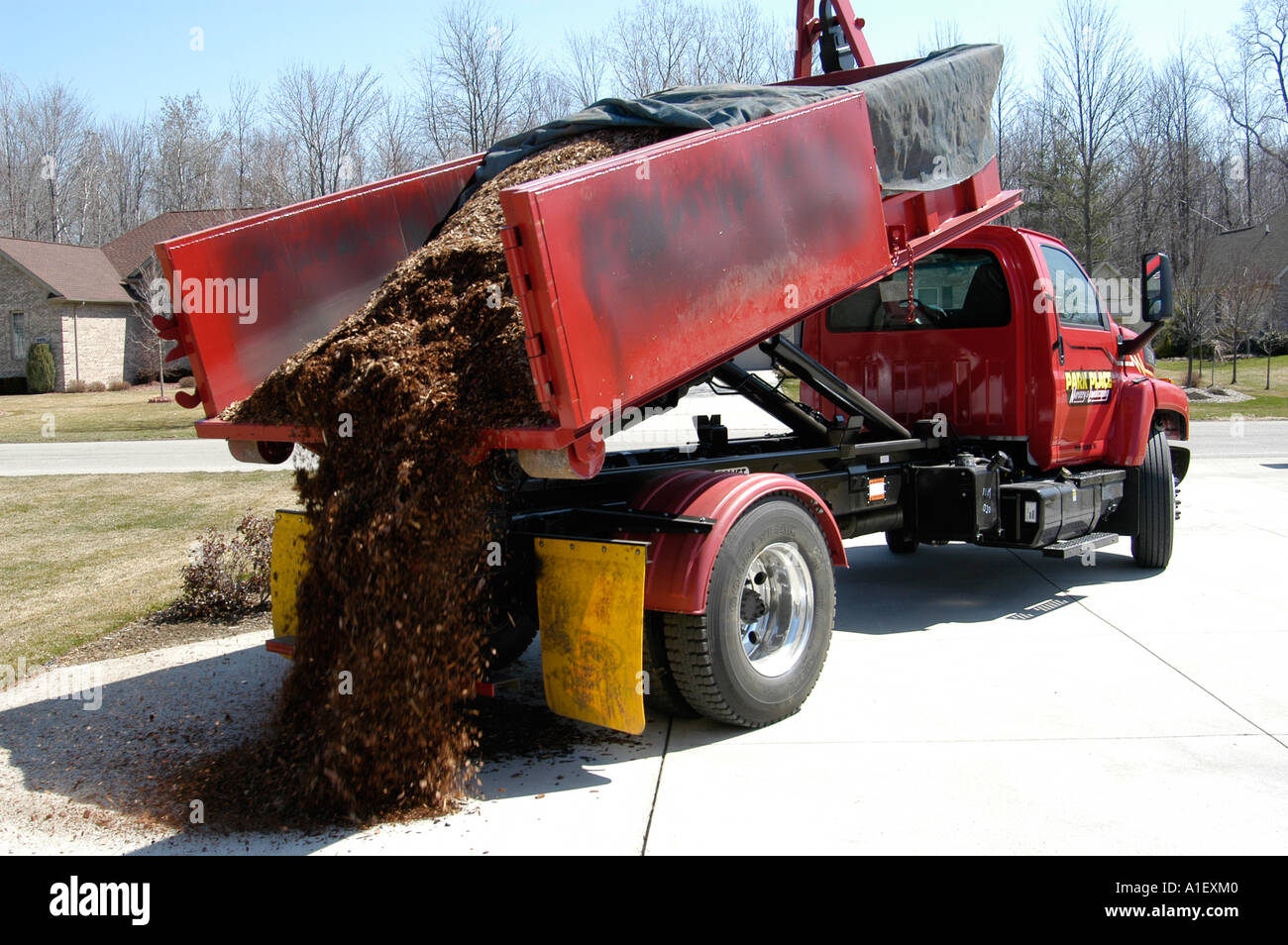 Dump Truck Drops Load Of Mulch For Use In Landscaping And Flower Beds Onto Cement Pad Dump Truck Drops Load Of Mulch For Use In Landscaping And Flower Beds Onto Cement Pad